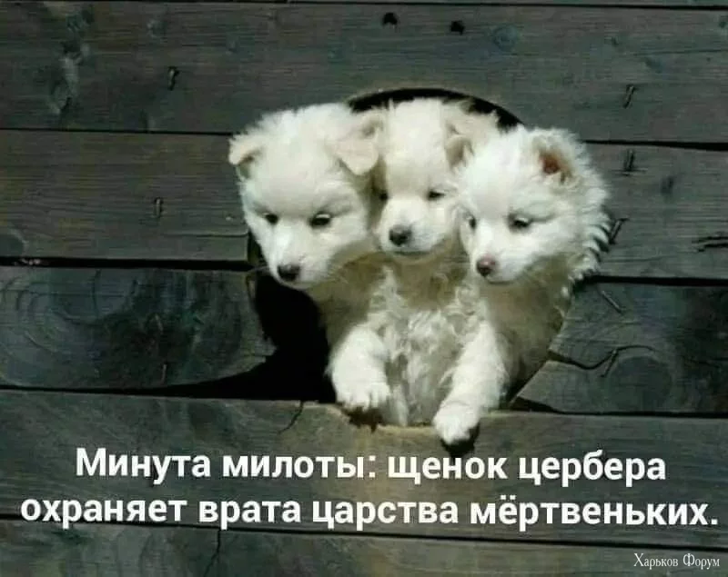 nc_ohc=kI1l9oAaU-gAb41mRTA&_nc_ht=scontent.fdnk3-2.webp