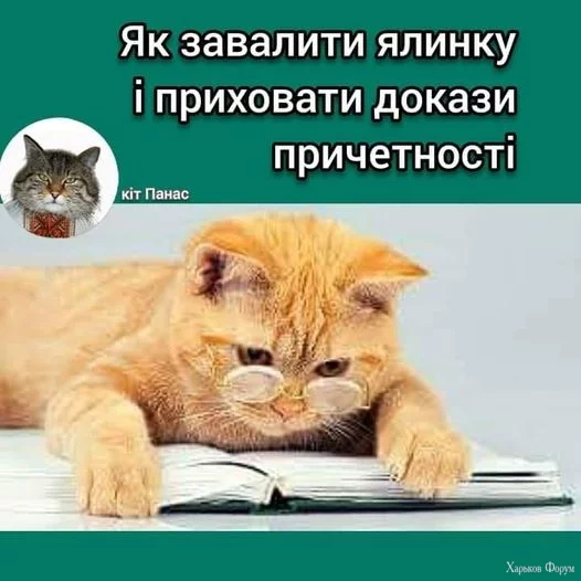 nc_ohc=-LMNrSb89t0AX8LjRoF&_nc_ht=scontent.fiev7-4.webp