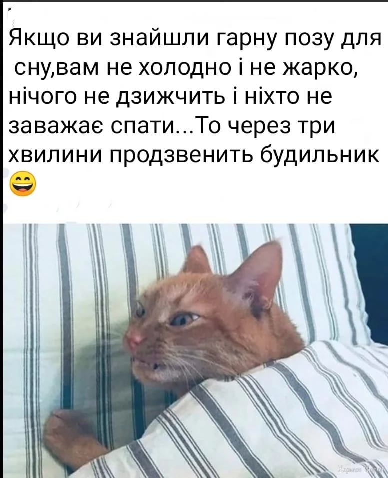 nc_ohc=LU0StQZ09gEAX9_2hCT&_nc_ht=scontent.fhrk8-1.webp