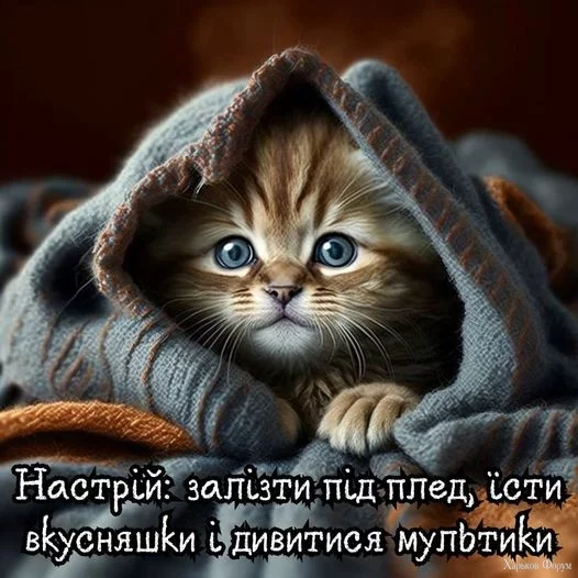nc_ohc=mBdLSaSkqvwAX_y-VJX&_nc_ht=scontent.fiev7-3.webp