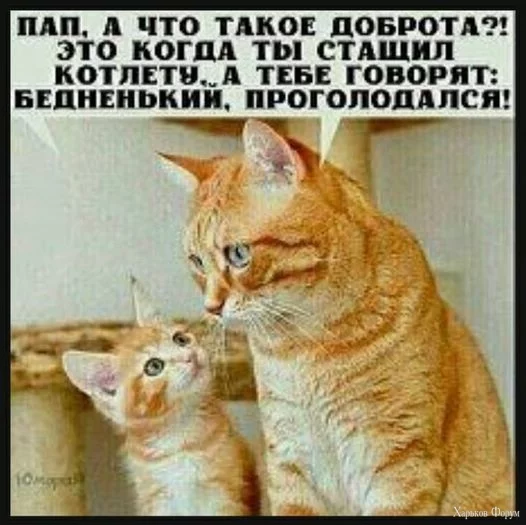 nc_ohc=O30zFkCaIaoAX_fGwVn&_nc_ht=scontent.fdnk1-4.webp