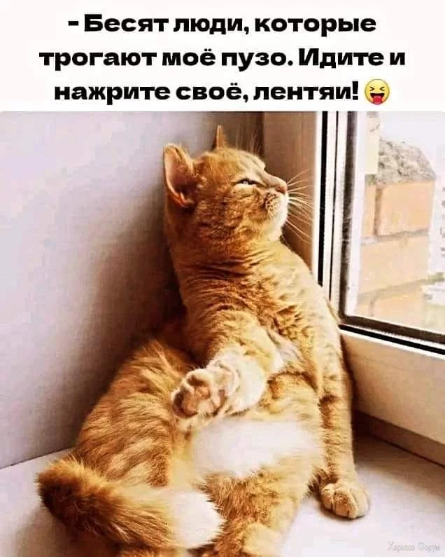 nc_ohc=o6IzaZvvXncAb6KYHKi&_nc_ht=scontent.fdnk1-4.webp