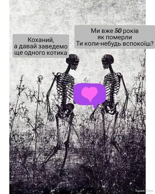 nc_ohc=OmVdINN4MkAAX9aVrut&_nc_ht=scontent.fdnk1-3.webp