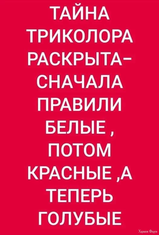 nc_ohc=pkQS9HUp9y4AX8-mm0G&_nc_ht=scontent.fiev7-3.webp
