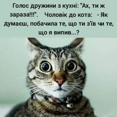 nc_ohc=R_UAXdDZcvEAX9Unk9y&_nc_ht=scontent.fhrk8-1.webp