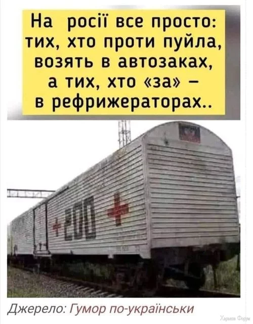 nc_ohc=sDFjWTSm4vcAX_QiGC6&_nc_ht=scontent.fiev7-4.webp