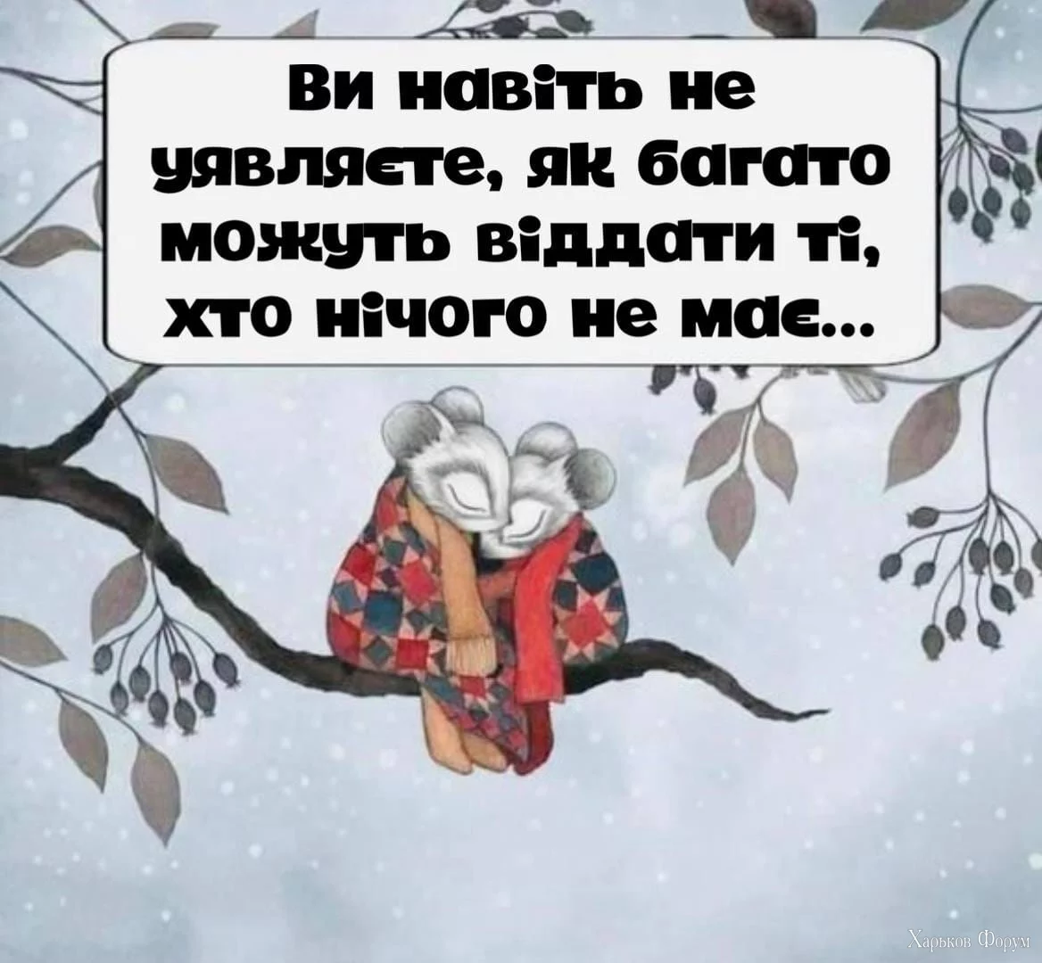 nc_ohc=Sewwfoz8YIoAX9J_tmk&_nc_ht=scontent.fdnk1-4.webp