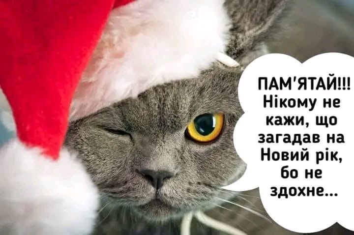 nc_ohc=SQDG2PP2ZGkAX-Gir2d&_nc_ht=scontent.fiev7-3.jpg