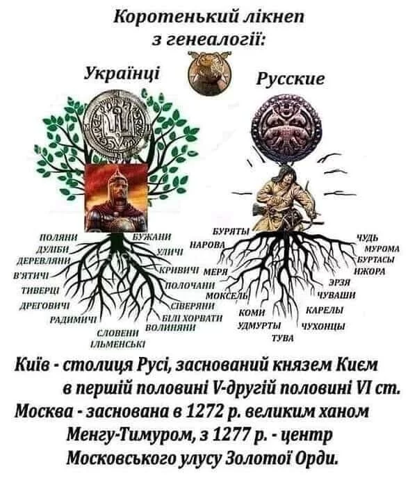 nc_ohc=sZNV5I_yzRgAX9G7hRC&_nc_ht=scontent.fiev7-4.webp