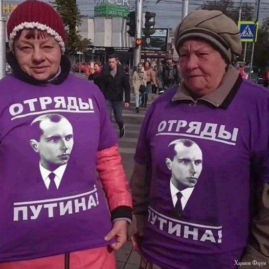 nc_ohc=t-TK8M-7sDYAX8RVz-g&_nc_ht=scontent.fiev7-3.jpg