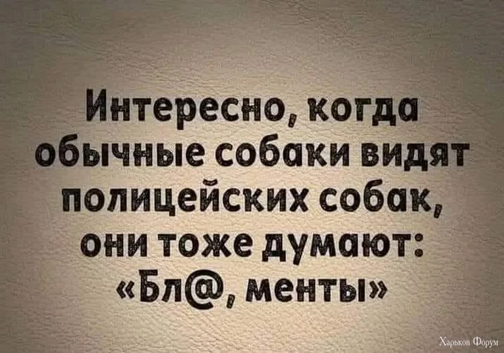 nc_ohc=U-hwdXZZlXwAb5HDBgk&_nc_ht=scontent.fdnk1-4.webp