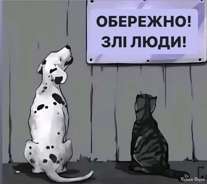 nc_ohc=unBYuDN9eIsAX_j_QCS&_nc_ht=scontent.fdnk1-3.webp