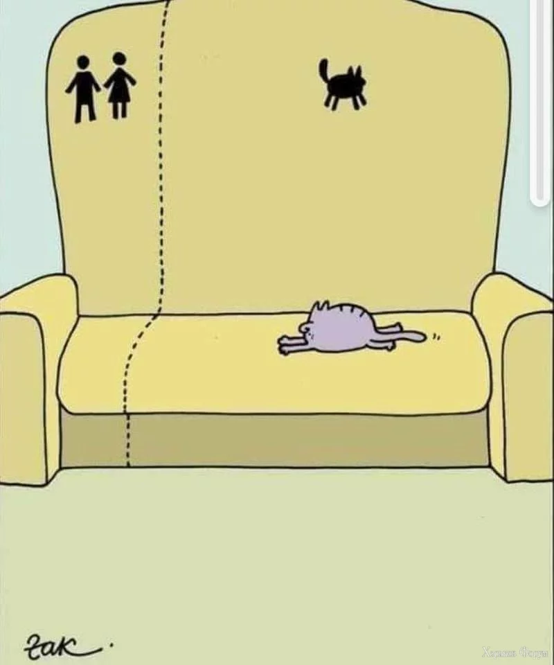 nc_ohc=UWmnXcbxHQQAX_9mUj1&_nc_ht=scontent.fdnk1-4.webp