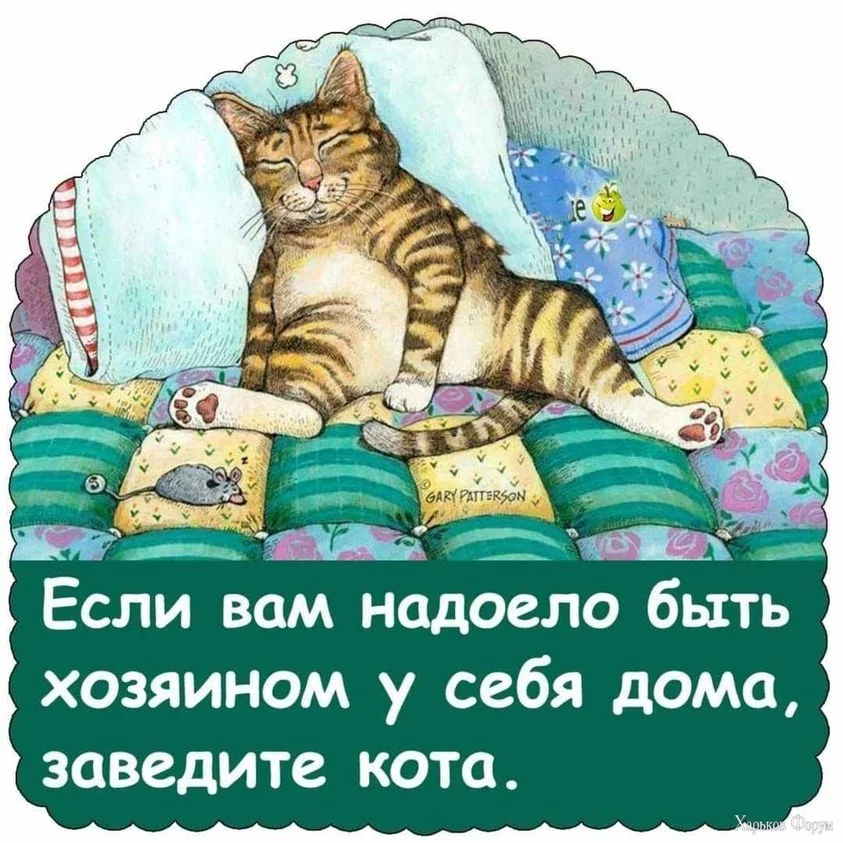 nc_ohc=vn5o-S4k9XEAb7bP8Fs&_nc_ht=scontent.fdnk3-2.webp