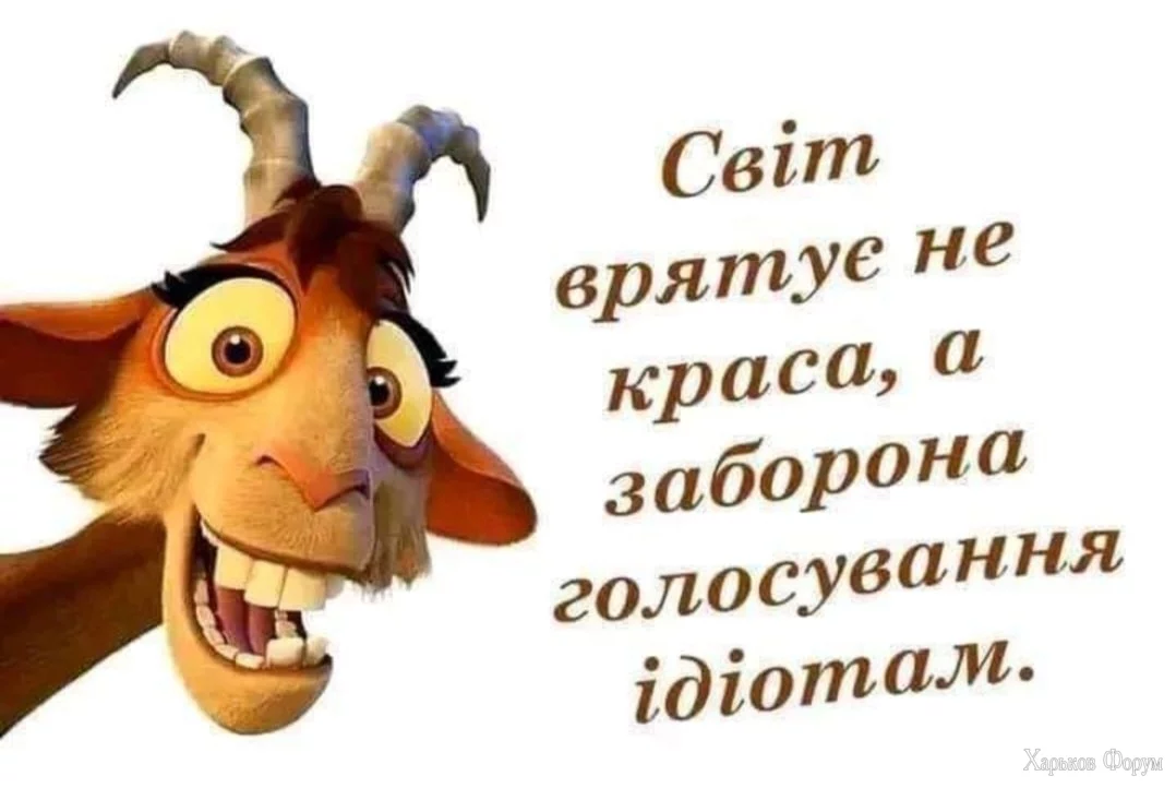 nc_ohc=x_HyupGBwSwAX_owqYg&_nc_ht=scontent.fiev7-4.webp