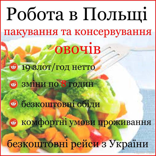 nc_ohc=ZQoGWRUYOb0AX942zQS&_nc_ht=scontent.fdnk1-4.jpg