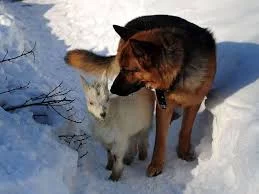 Nd9GcT7rXjw_4sbE8Bc6rNA6Ur0mfsY8OnQywlJww&usqp=CAU.webp