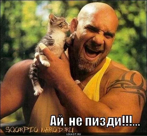 ne-pizdi_1282328290.webp
