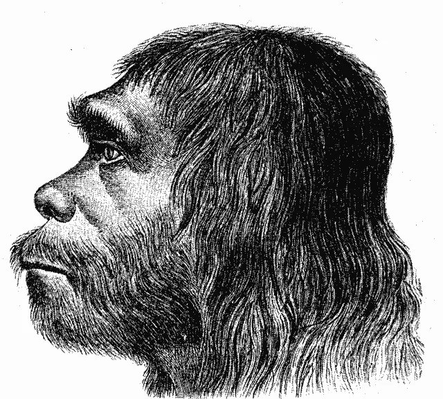 Neanderthaler_Fund.webp