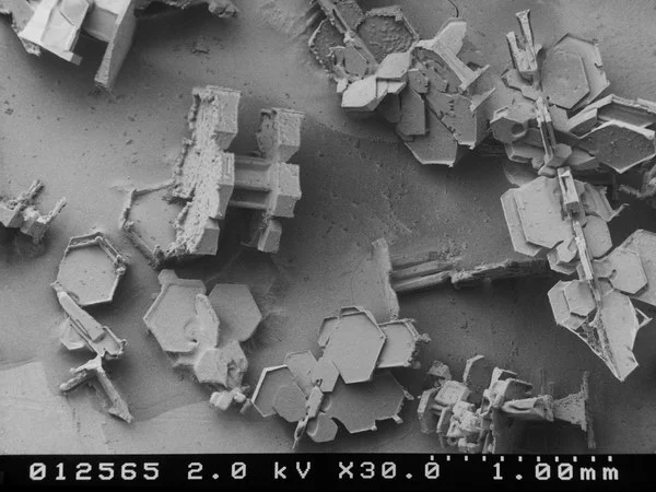 neige-microscope-flocon-21.webp