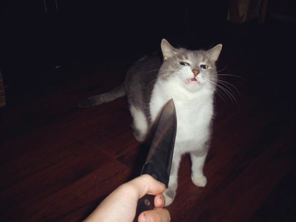 nEnp3hK9pkA.jpg