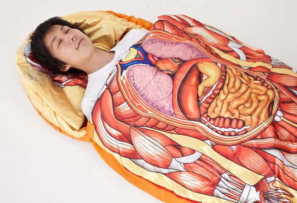 netter-anatomy_sleeping-bag.webp