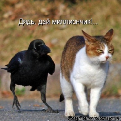 news-26312.jpg