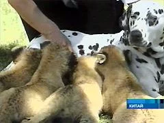 news2003_0813.webp