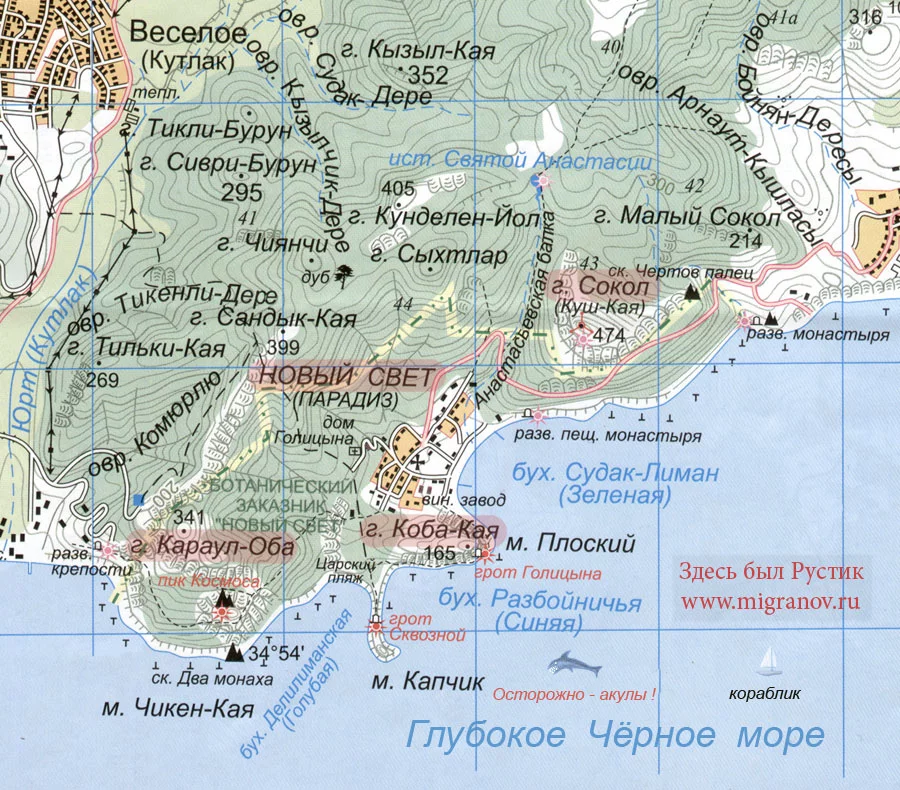 newsvet_map.webp