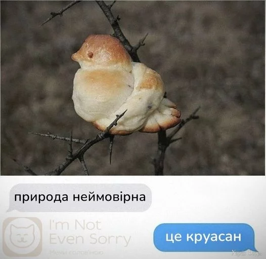  неймовірна.webp