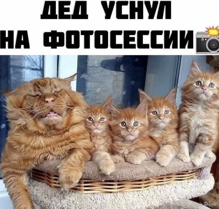 nfbewtsi_lg.webp