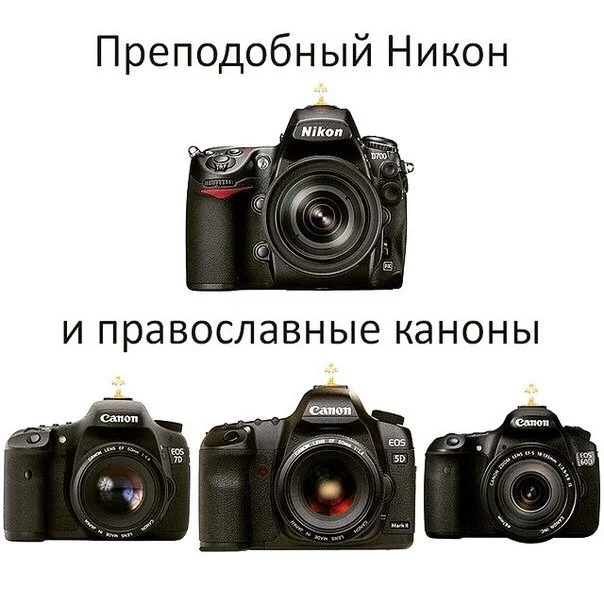 NFvcxxk5Xrs.webp