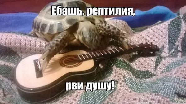 -NgLkRQD0uU.webp