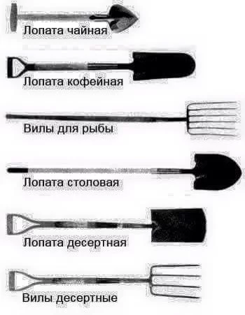 NHu2rXbT9qY.webp