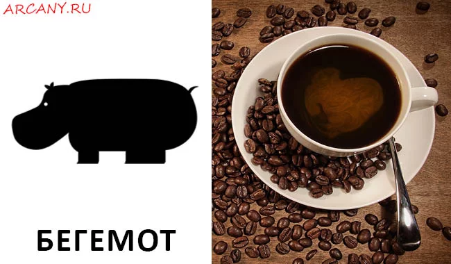 nie-na-kofejnoj-gushche-begemot-tolkovanie-simvola.webp