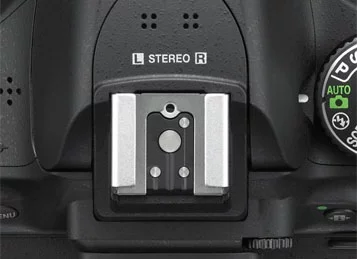 nikon-bashmak.webp
