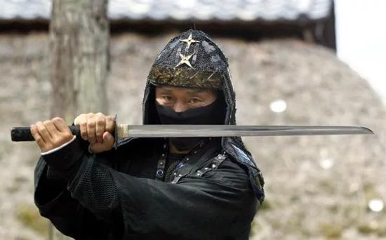 ninja--550x342.webp