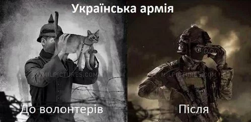 nmnOBYZ3XoA.jpg