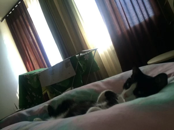 nmnVv8IJFyA.webp