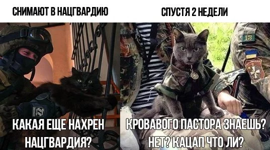 nmOPbgbcurs.webp