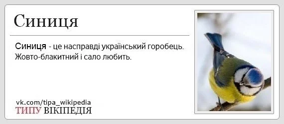 NmTUaFQYFs4.webp
