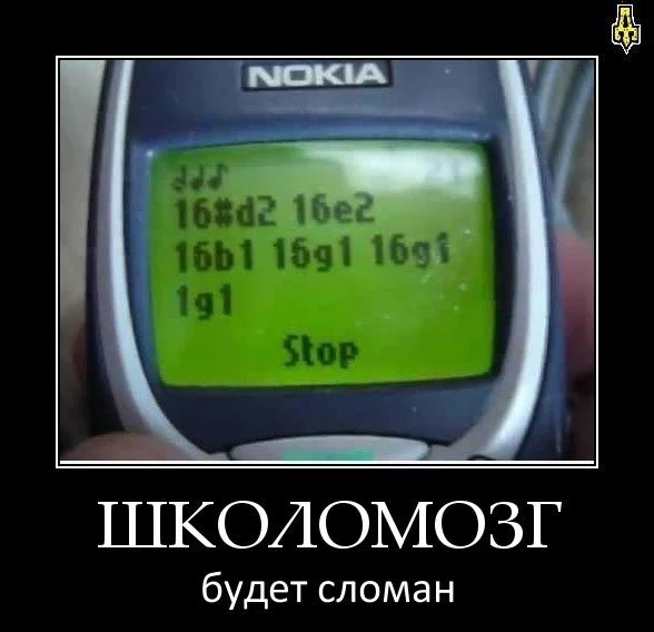 nmyw_DFtkK0.webp