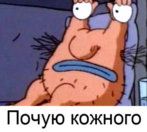 nnSWFypdXaQ.webp