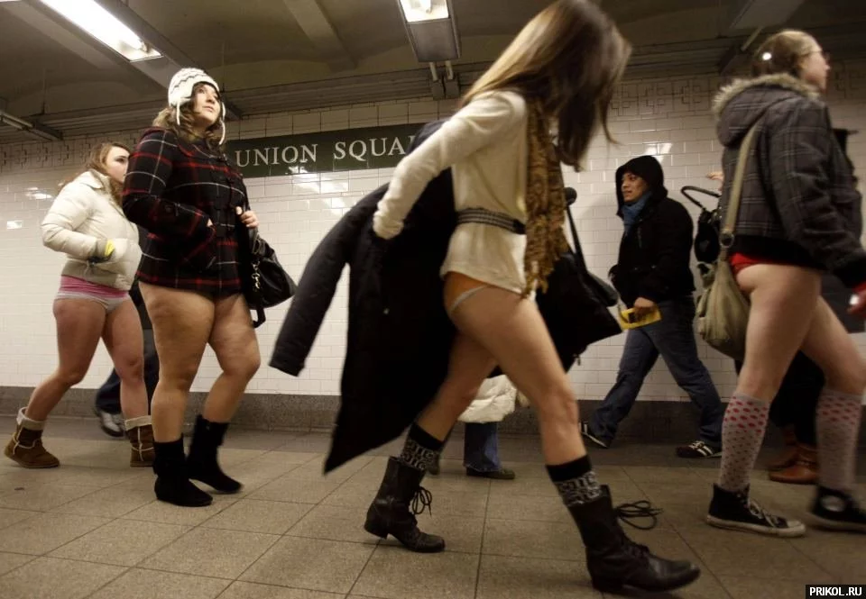 no-pants-11.webp