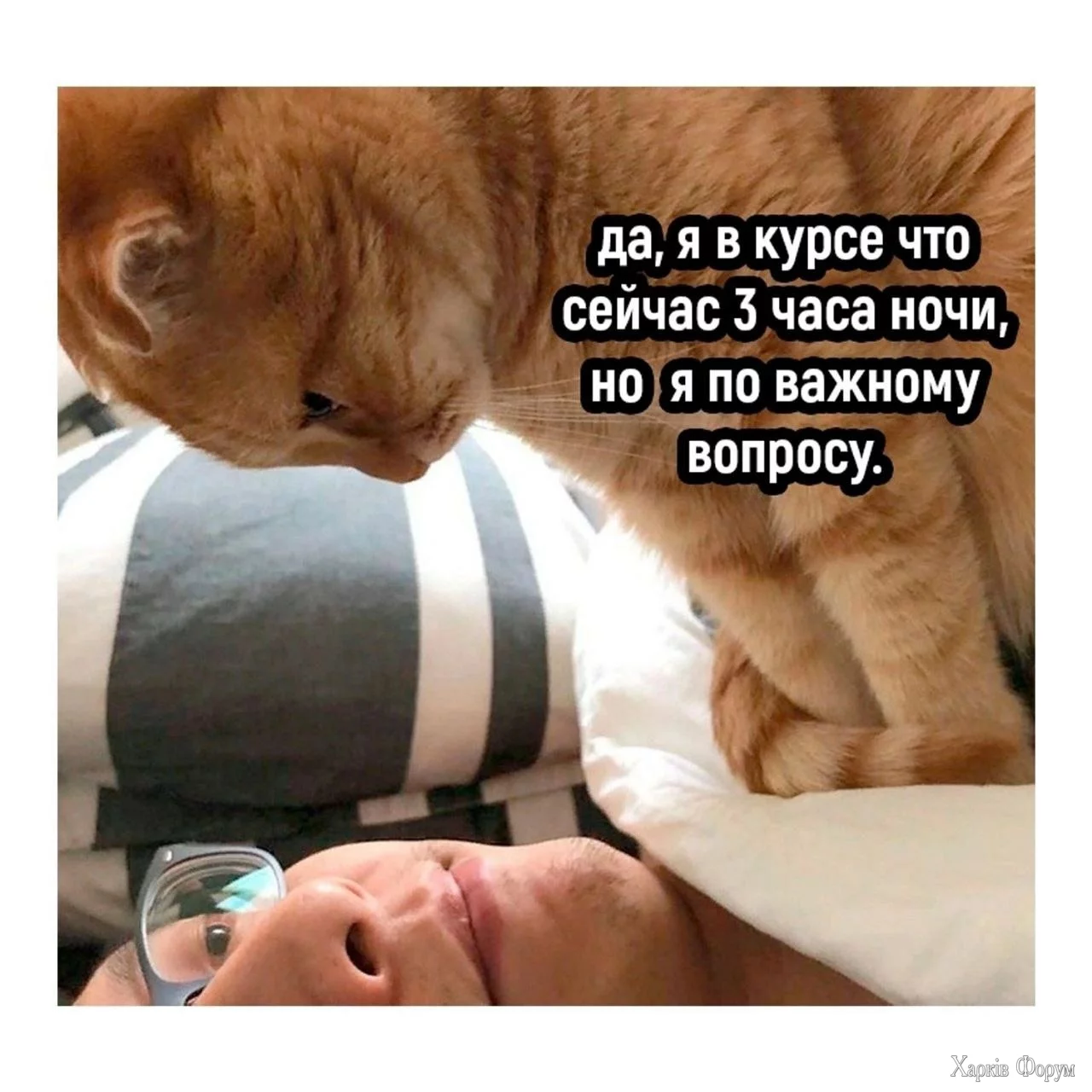  ночи.webp