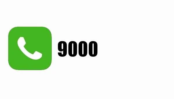 nomer-telefona-9000-chto-eto_0.webp