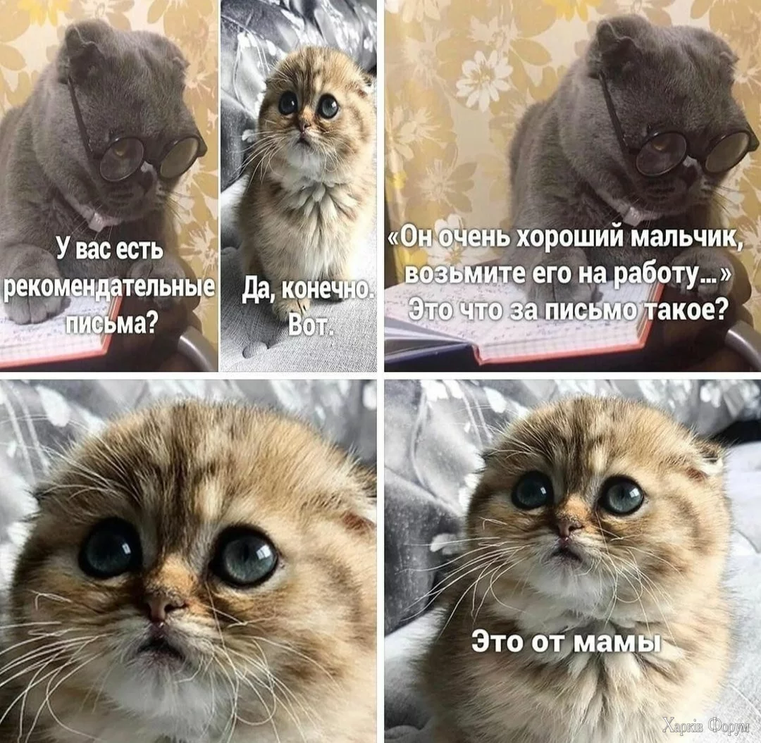 %)