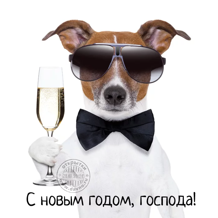 noviy-god-1518.webp