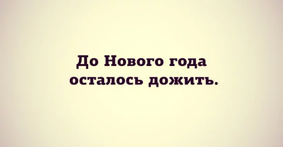 nQkx2sTFiPU.webp