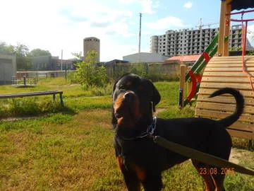 NRQfa.webp